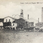 Antique RPPCs of Sugar Mill Operation in Cuba -  Early 1900s