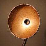 Antique Gooseneck Desk Lamp with Unusual Shade | 1920s