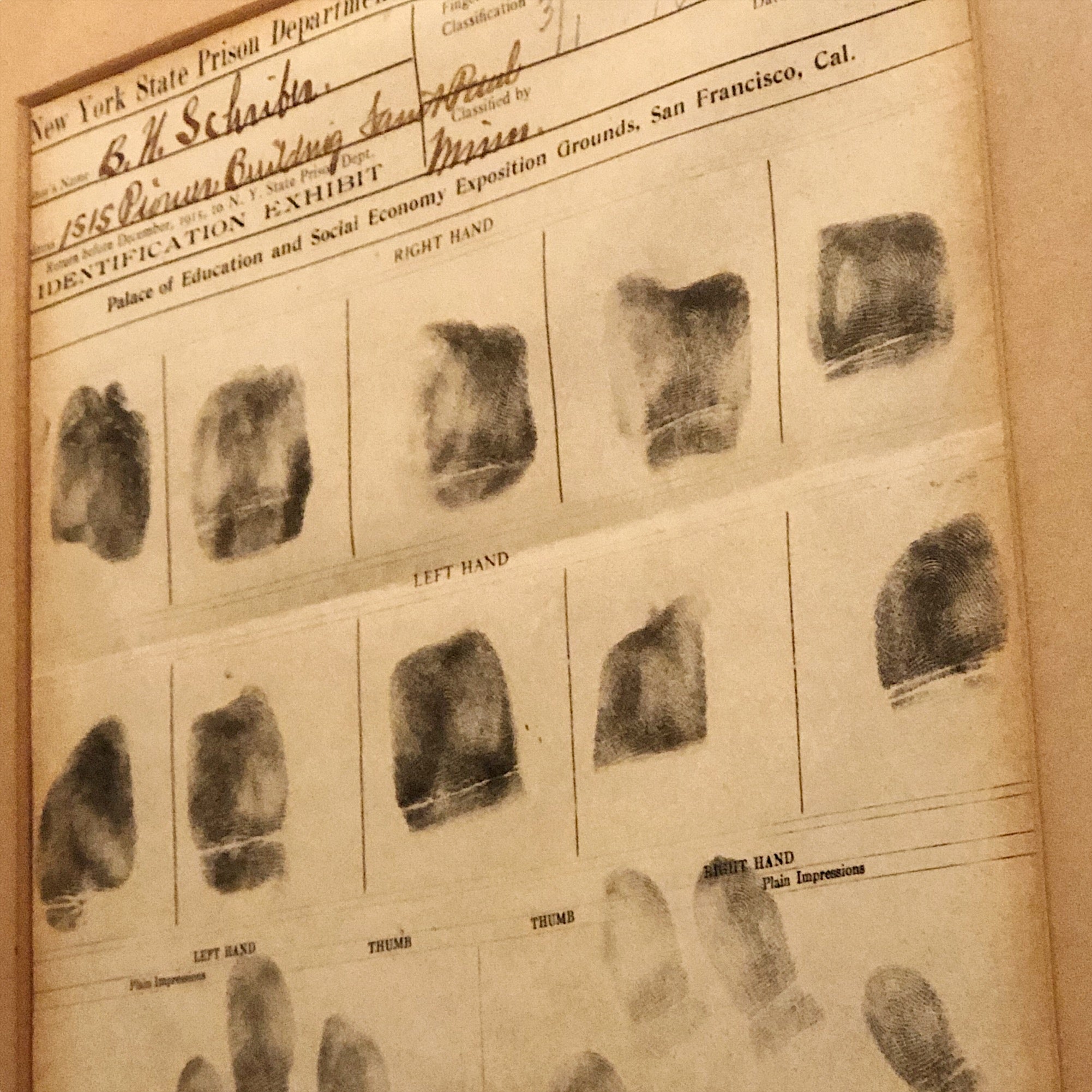 Prison Fingerprint Display from Panama Pacific Exposition | 1915