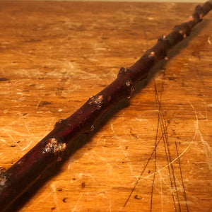 Vintage Blackthorn Shillelagh Walking Stick Cane - Shamrock Maker's Mark - Irish -