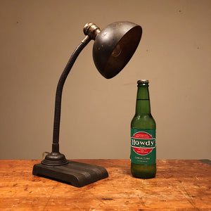 Antique Gooseneck Desk Lamp with Unusual Shade - 1920s Art Deco Period 