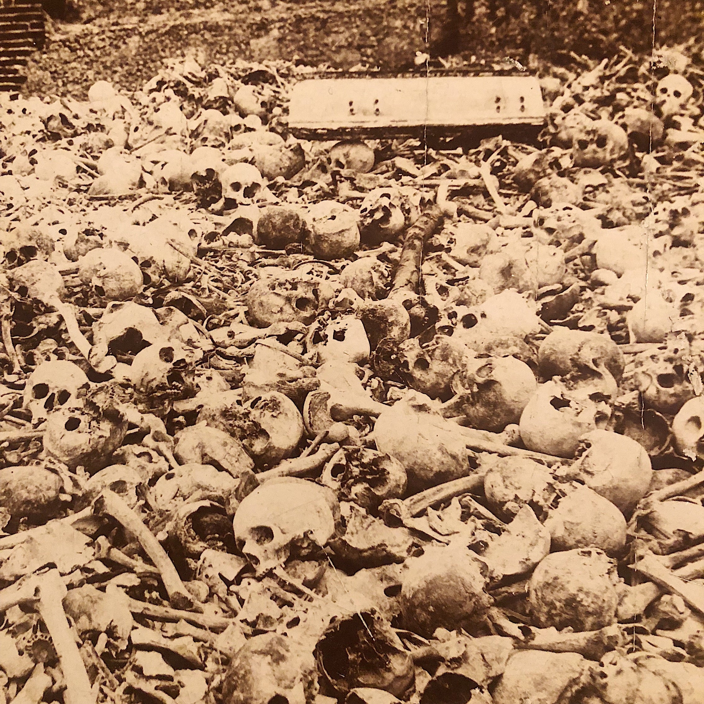 Antique Photograph of Cuban Bone Yard from late 1800s  - Spanish American War 