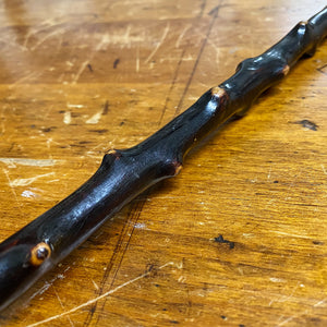 Antique Blackthorn Shillelagh Walking Stick Cane - Irish - Thorny Shaft - Brass Ferule - Early 1900s - Rare Canes