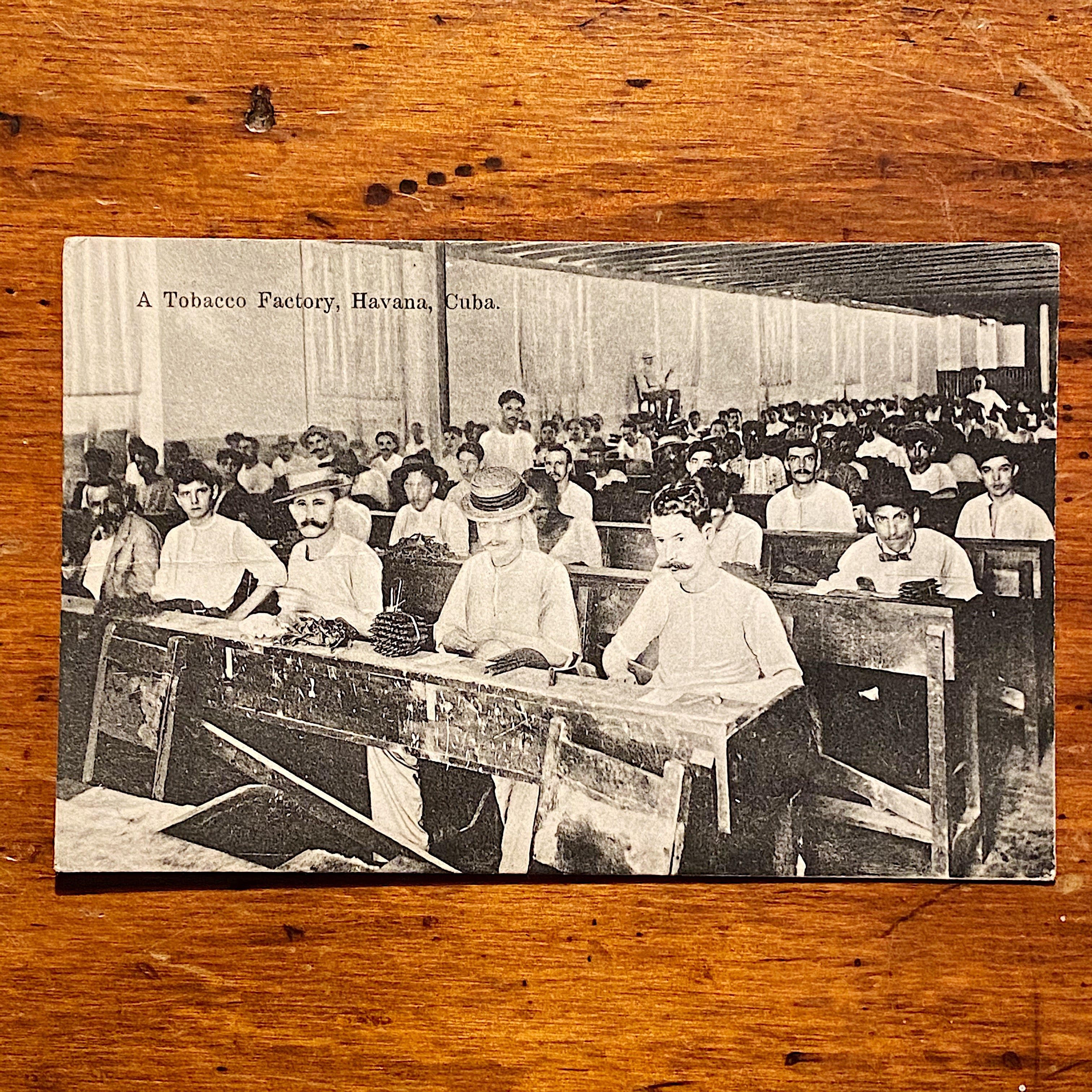 Tobacco Factory Antique RPPC of Cigar Factory - Early 1900s Tobacciana Postcards - Foreign Country Color Postcard - Rare Photography from Early 1900s