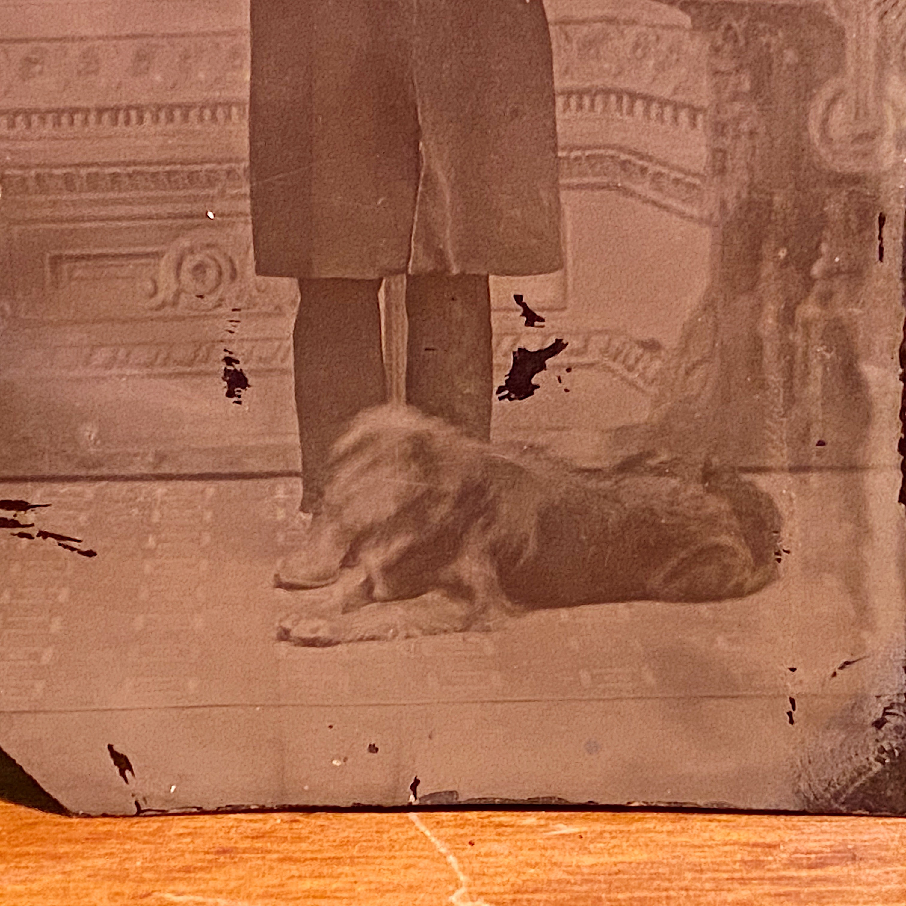 Antique Tintype of Serious Man and Dog |  Rare Pet Photography