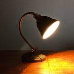 Vintage Articulating Desk Lamp with Unusual Shade |  1920s