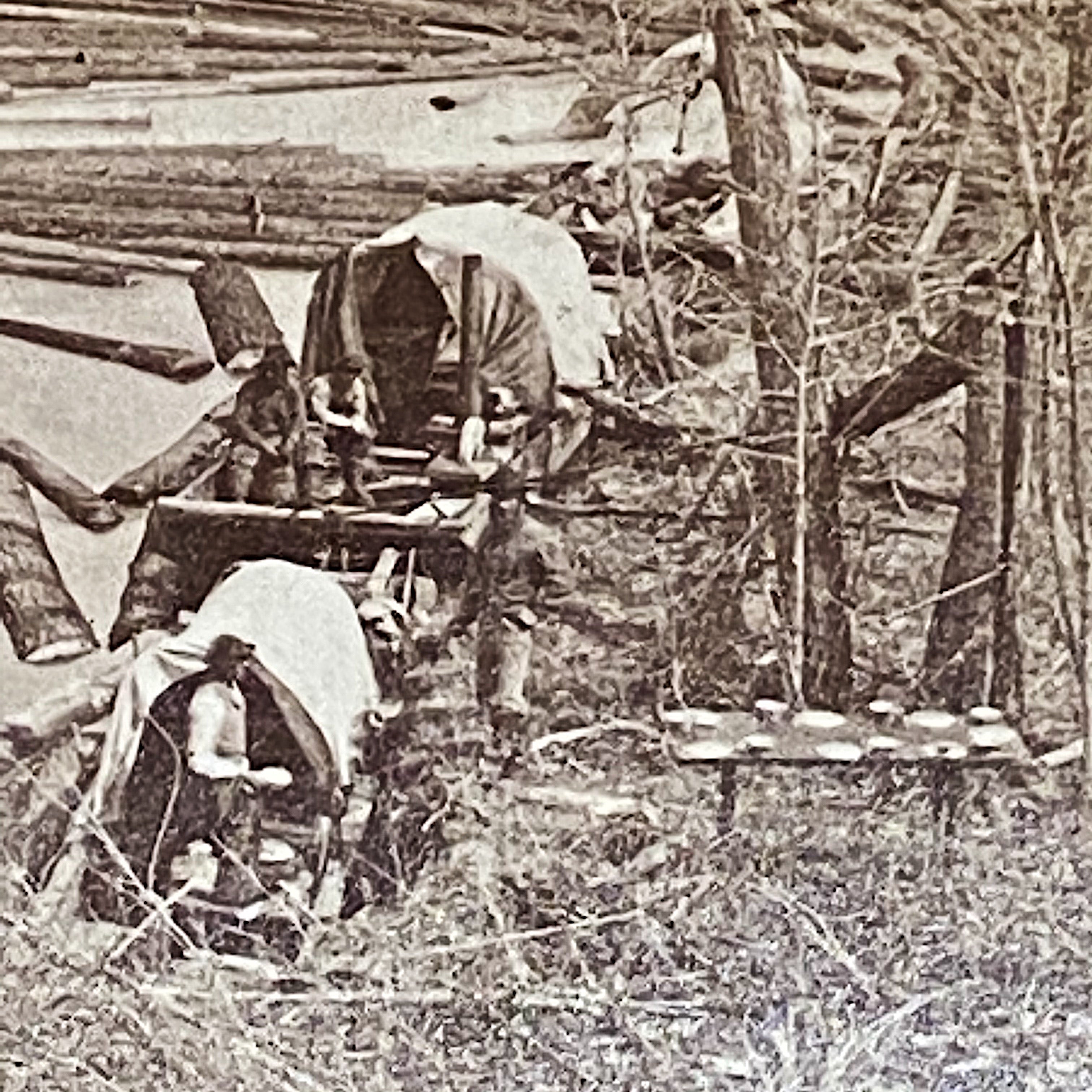 Antique Logging Photographs from 1860s - Louis Hill Estate - Elias Moses Camp Minnesota Rum River - Rare Occupational Logging Camp Photos
