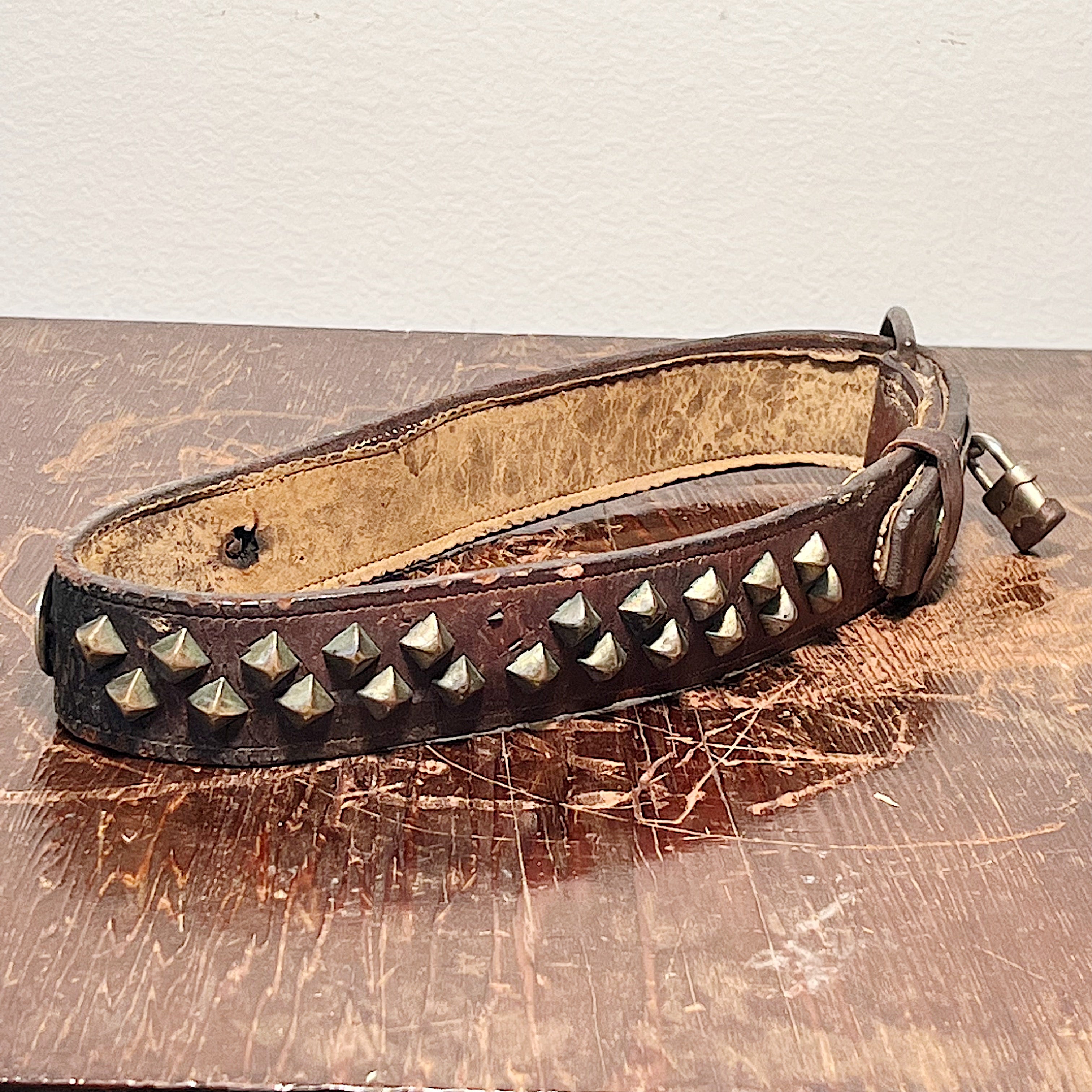 Rare Antique Studded Dog Collar with "Victor Hugo Jr" Tag - Early 1900s Leather Buckle Collars - Punk Rock Style - Rare Bulldog Collectible