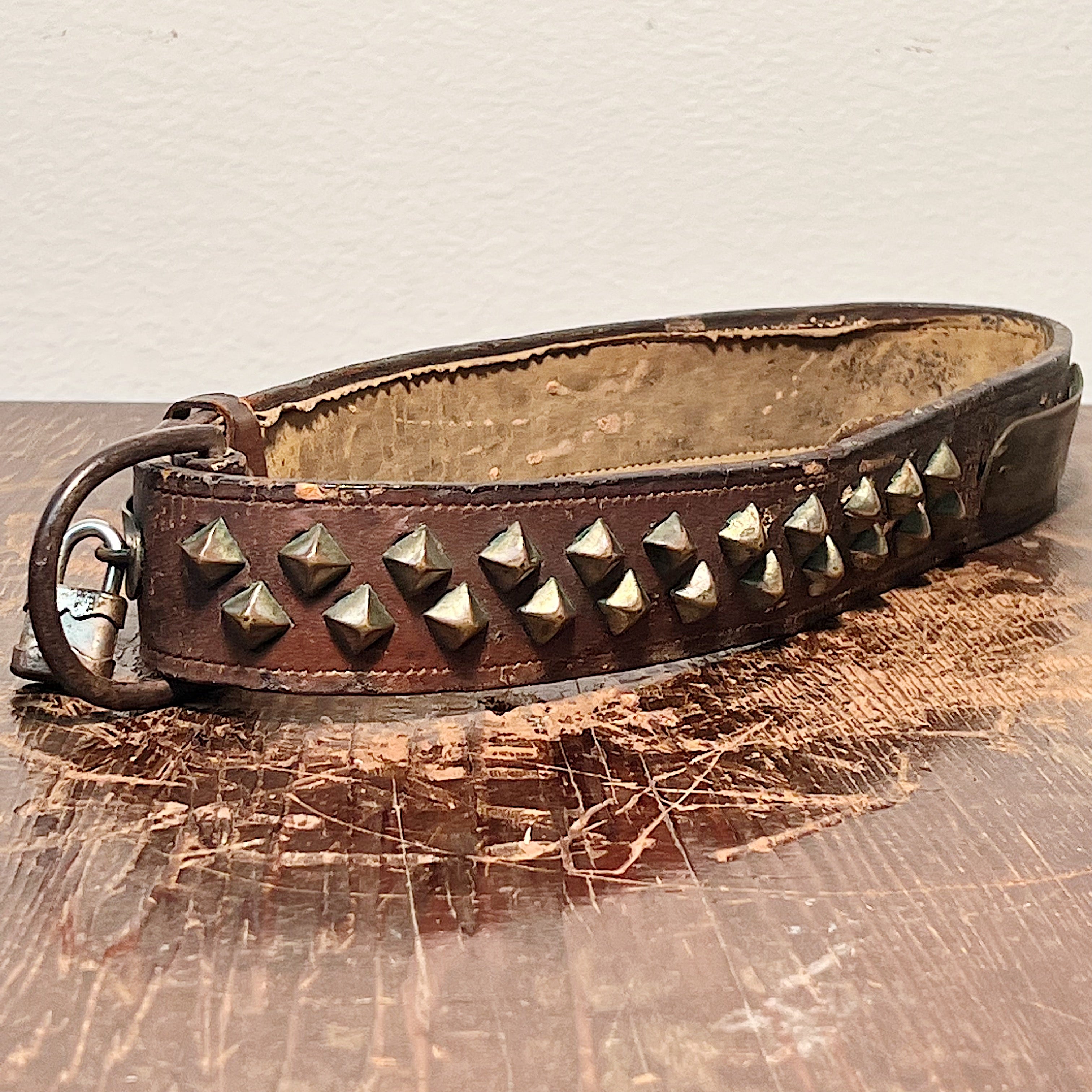Antique Studded Dog Collar with "Victor Hugo Jr" Tag - Early 1900s Leather Buckle Collars - Punk Rock Style - Rare Bulldog Collectible