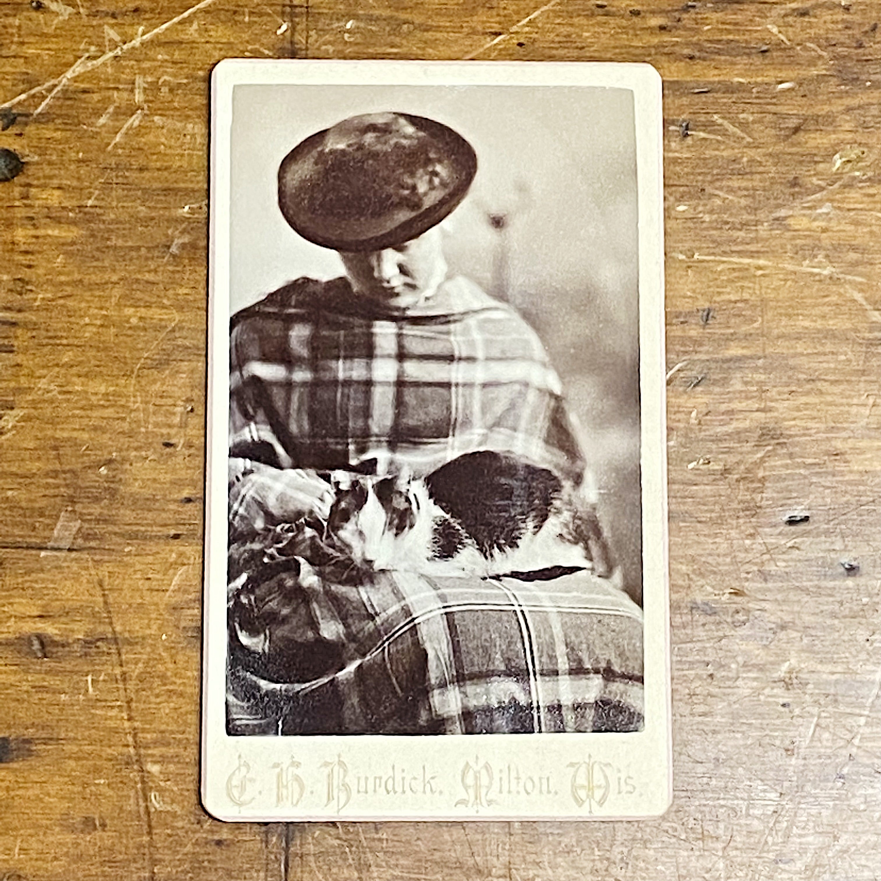 Antique Cabinet Card of Woman and Cat Sleeping - Unusual 19th Century Photography - Ellery Burdick Wisconsin - Rare Animal Photos