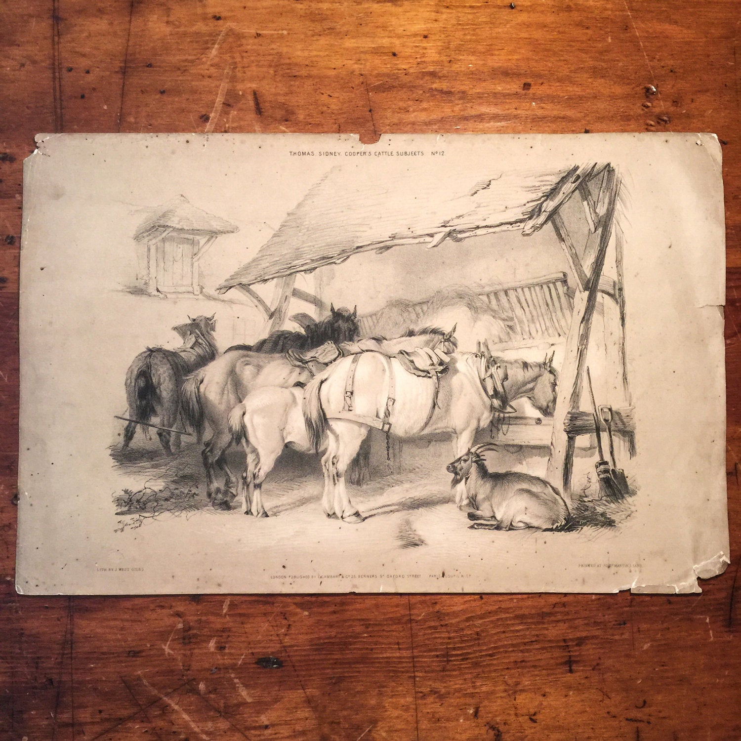 Thomas Sidney Cooper Lithographs (3) - Cattle Subjects - 1845 - J. West Giles - London - Rare - British Lithographs - British Prints