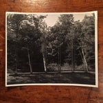 George Rickey Kinetic Sculpture Photograph - Marked Studio Estate Collection - Peristyle - Six Lines - Rare - East Chatham New York