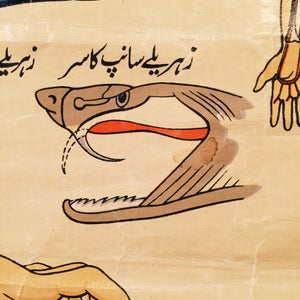 Vintage Medical First Aid Lithograph Chart in Urdu Language - Pakistan? - Linen - Bizarre - Snakebite - Death - Railroad - Creepy
