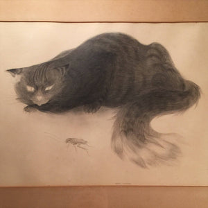 James Redmond WPA Drawing - 1930s - Cat and Insect - California Artist - WPA Artist - James McKay Redmond - New Deal Art -War Hero