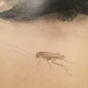 James Redmond WPA Drawing - 1930s - Cat and Insect - California Artist - WPA Artist - James McKay Redmond - New Deal Art -War Hero