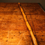 Antique Alligator Walking Cane - 19th Century? - Orangewood Walking Stick - Wood Carved Figural Cane - Crocodile Cane -