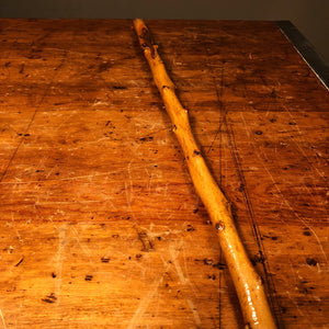 Antique Alligator Walking Cane - 19th Century? - Orangewood Walking Stick - Wood Carved Figural Cane - Crocodile Cane -