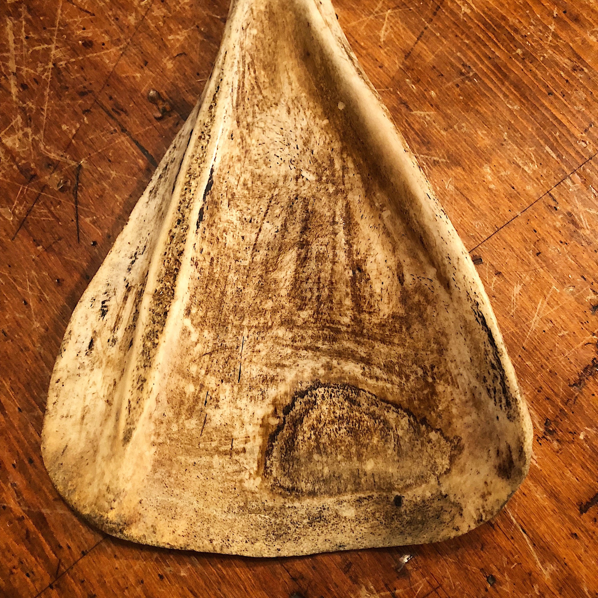 Vintage Indonesian Scrimshaw Bone Fan - Ceremonial Artifact - Buffalo Scapula - Easter Island - Ancient Rug - Wall Deoor Carving