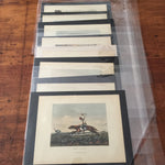 Emeric Essex Vidal Lithograph Lot (8) - Picturesque Illustrations of Buenos Ayres and Monte Video -