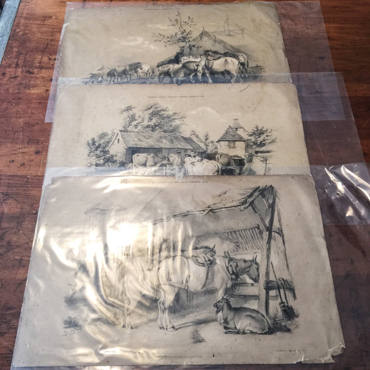 Thomas Sidney Cooper Lithographs (3) - Cattle Subjects - 1845 - J. West Giles - London - Rare - British Lithographs - British Prints